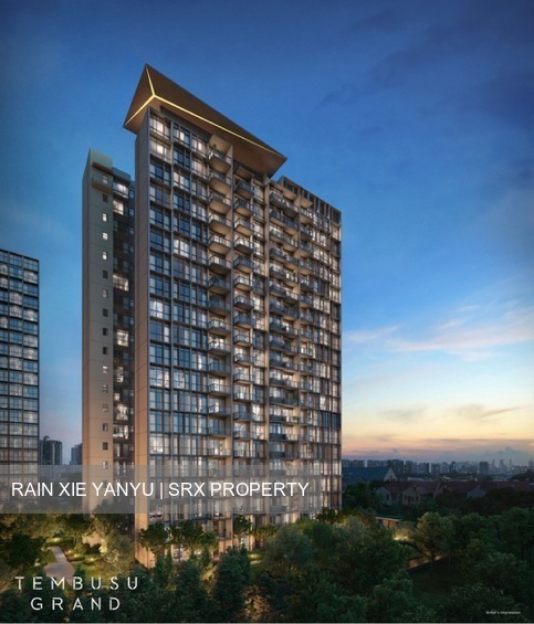 Tembusu Grand (D15), Condominium #538578271
